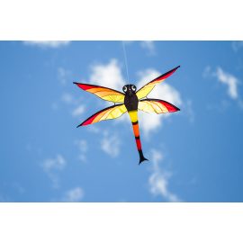 Kite Dragonfly