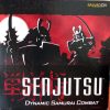 Senjutsu-strategicka-spolocenska-hra