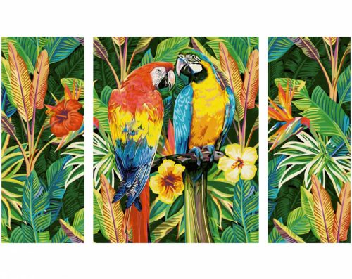 Papagáje v pralese maľovanie podľa čísel Schipper