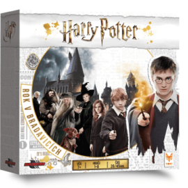 Harry Potter : Rok v Bradavicích